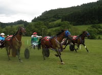 Ellavafella takes the open win at Llangunllo