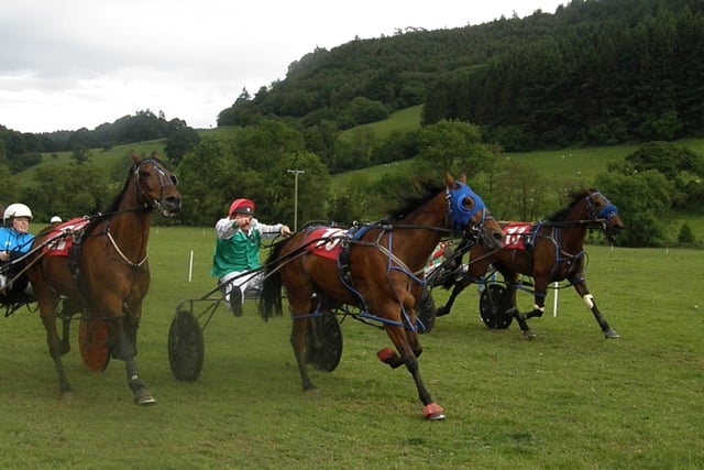 Ellavafella takes the open win at Llangunllo
