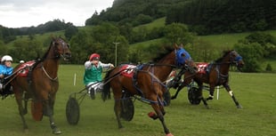Ellavafella takes the open win at Llangunllo