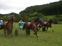 Ellavafella takes the open win at Llangunllo