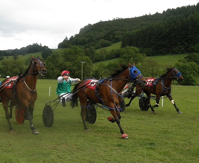 Ellavafella takes the open win at Llangunllo