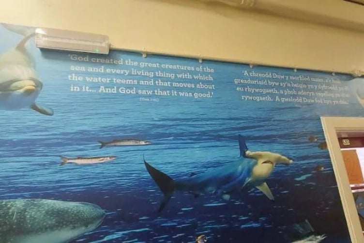 "God created the great creatures of the sea and every living thing with which the water teems and that moves about in it."