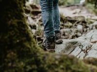 Join Meirionnydd Ramblers for leisurely winter walk