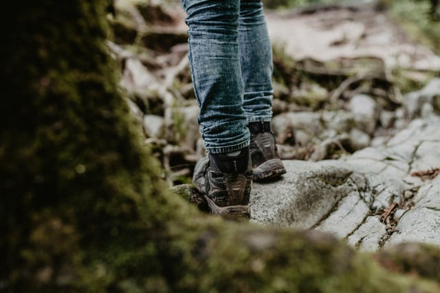 Join ramblers for festive walk with mince pies and mulled wine
