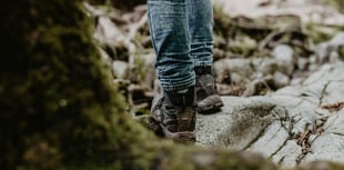 Join Meirionnydd Ramblers for leisurely winter walk