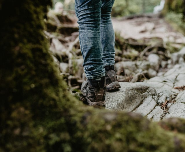 Join Meirionnydd Ramblers for leisurely winter walk