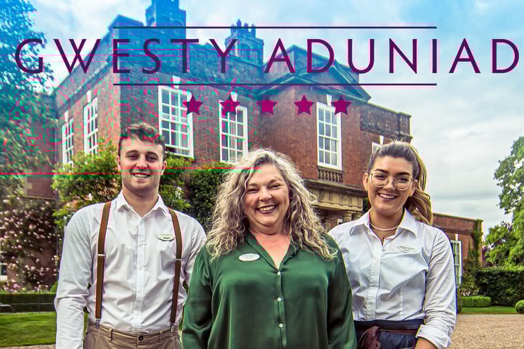 ydd y cwmnïau llwyddiannus yn derbyn cyllid a chymorth arbenigol i ddatblygu syniadau fformat