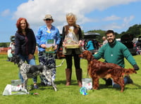Aberystwyth Show dog section winners revealed