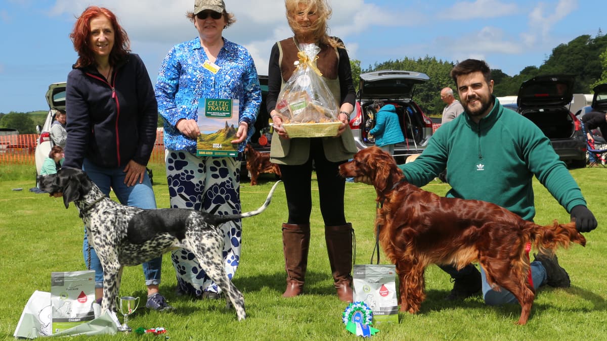 Aberystwyth Show dog section winners revealed cambriannews.co.uk