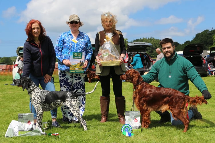 Seren with Sam Taylor, Dog Section Secretary, Kris Fry, Judge, Glynis Pink, and Reserve Champion Daisy with Ashley Lloyd-Jones, Pontrhydfendigaid. Photo: Les Fry
