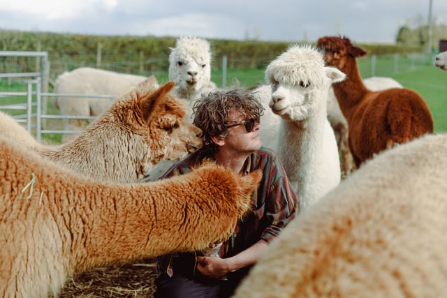 First three acts for for Other Voices Cardigan Festival 2024 announced
