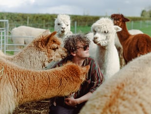 First three acts for for Other Voices Cardigan Festival 2024 announced
