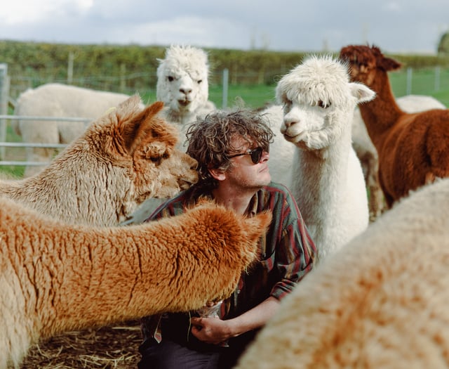 First three acts for for Other Voices Cardigan Festival 2024 announced