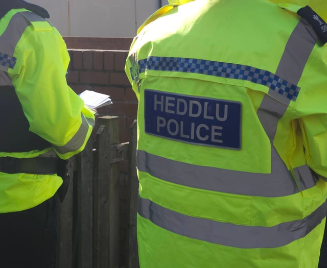 Police prepare for domestic abuse cases during football championship