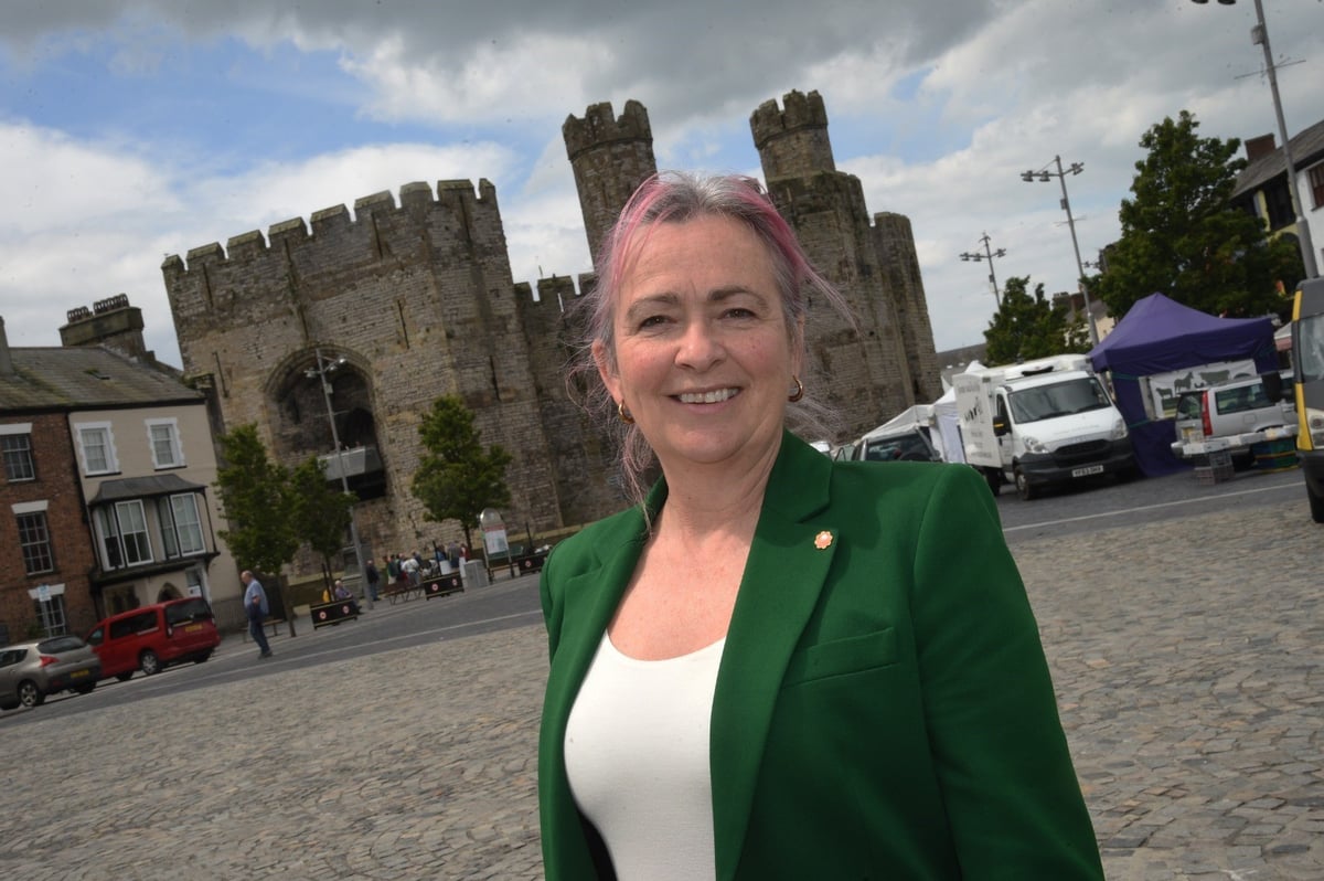 Meet Dwyfor Meirionnydd's seven election candidates