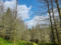 Beddgelert Forest named third most beautiful UK cycling route 