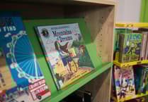 Plaid school library pledge 'short-sighted', union warns