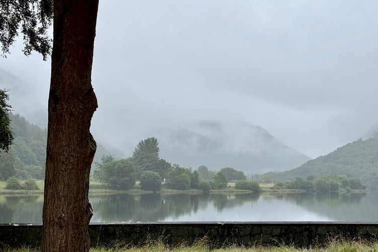 Cwm Rheidol
