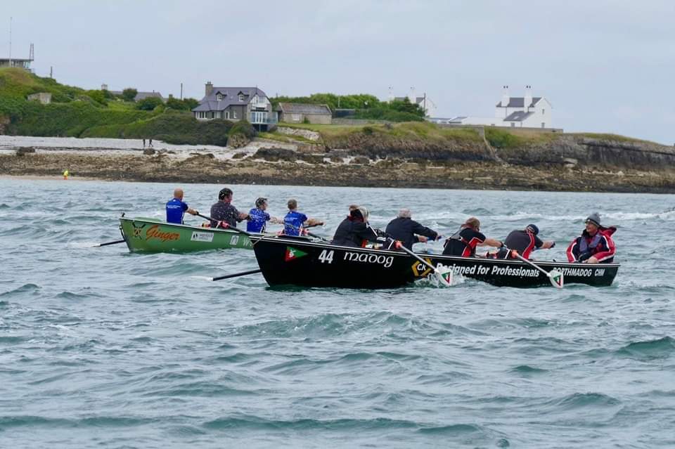 Puffin Island Race: Aberdyfi and Porthmadog rowers take on Menai Strait