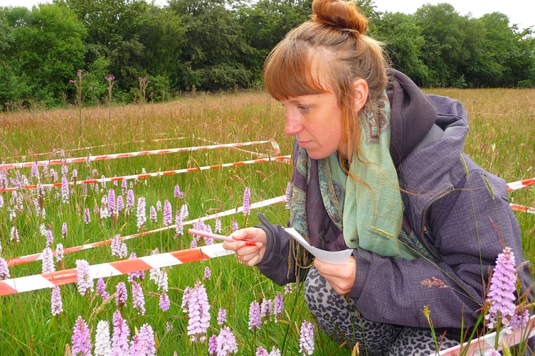 Joanna Blyden counting Orchids