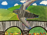 Llanidloes children's art competition celebrates seasonal swift soirée