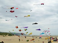 Popular Gwynedd kite festival to return this weekend