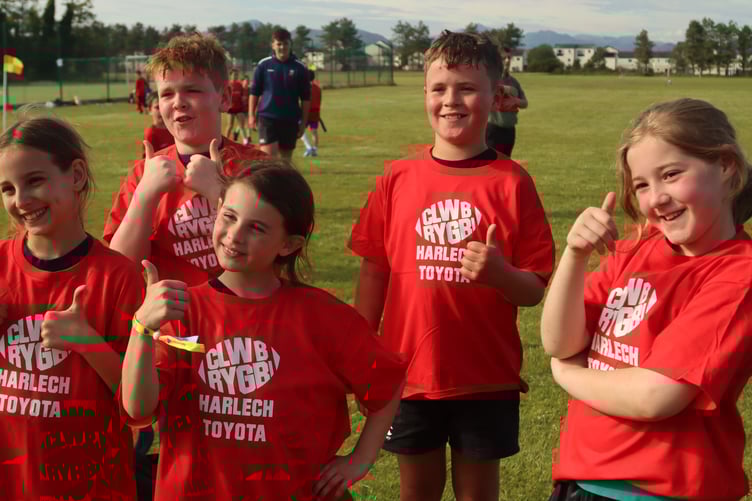 Ysgol y Garreg in their t-shirts sponsored by Toyota Harlech (Photo: Keith Phillips)