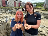 Strata Florida to host an open day this weekend