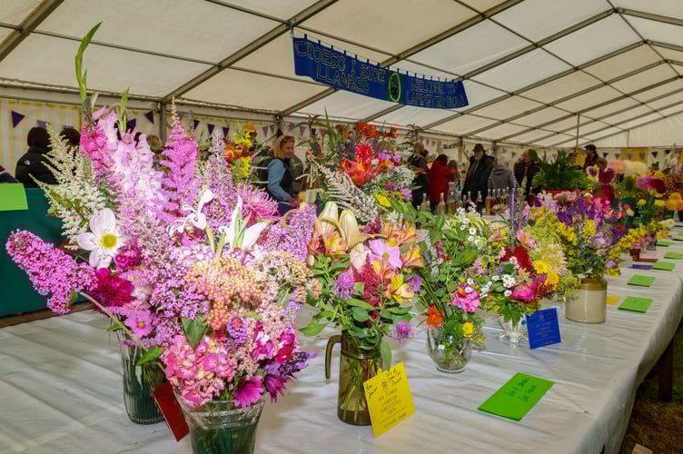 Lampeter Show