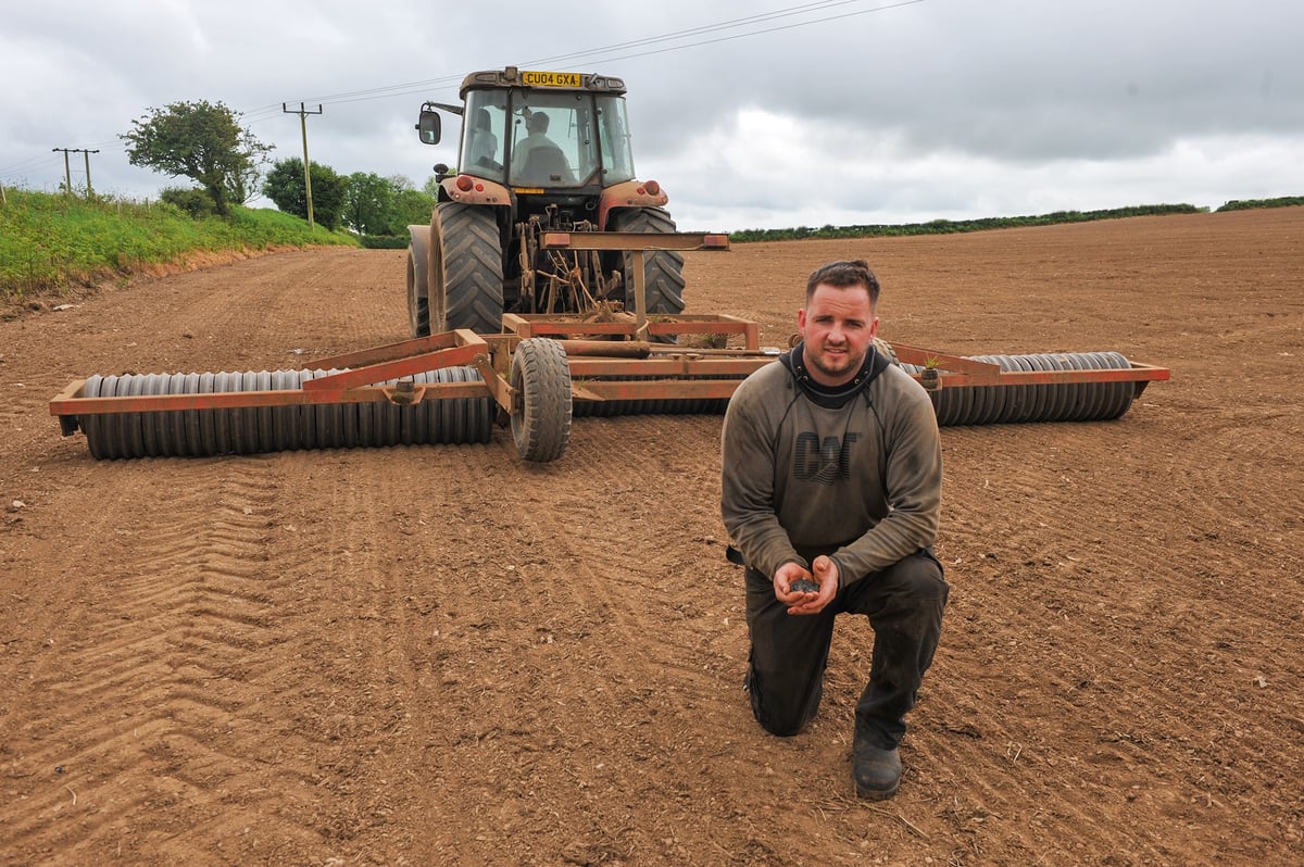 Reducing feed costs boosts Ceredigion farm’s sustainability