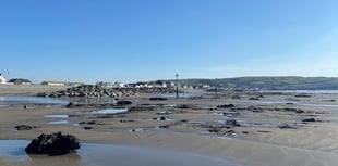 Borth toilets risk closure as council needs to find £20k running costs