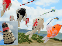 Gwynedd kite festival flies the flag for Barmouth