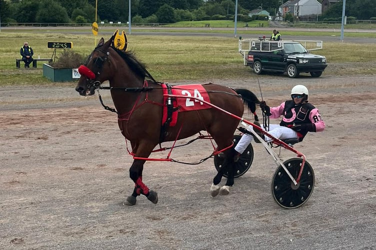 Grade A winner Goodtime Hal