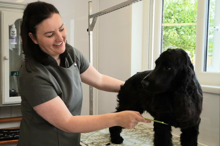 Lisa and Ozzy in her grooming studio