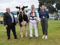 Royal Welsh Show: Sioe'r Cardis hailed a resounding success