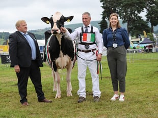 Royal Welsh Show: Sioe'r Cardis hailed a resounding success