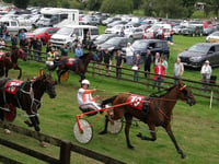 Exciting harness racing at the Wembley of Wales