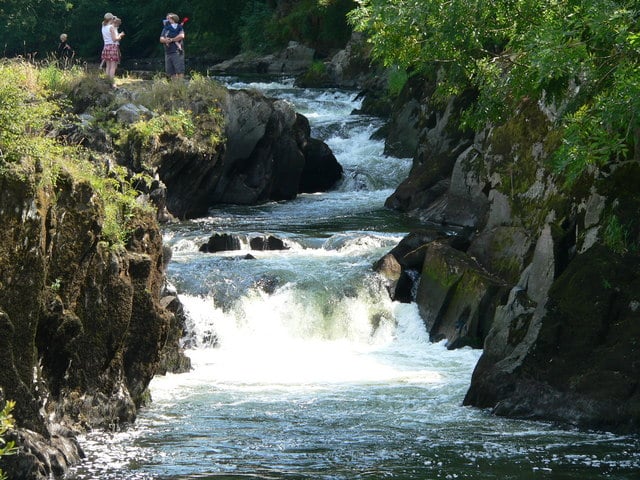 Cenarth falls