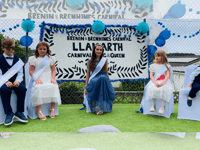 Lluniau: Carnifal Llanarth 