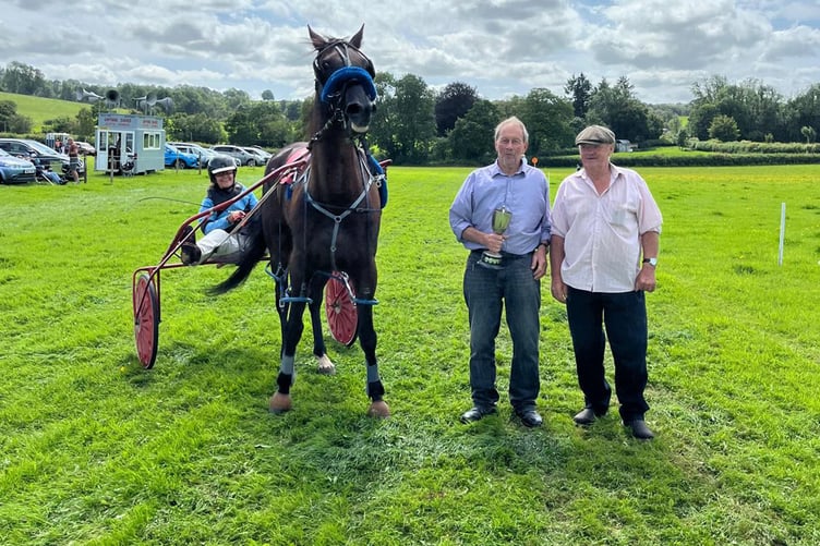 Grade A winner Dernol Yankee