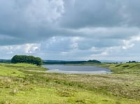 Horse and cycle routes
