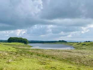 Horse and cycle routes