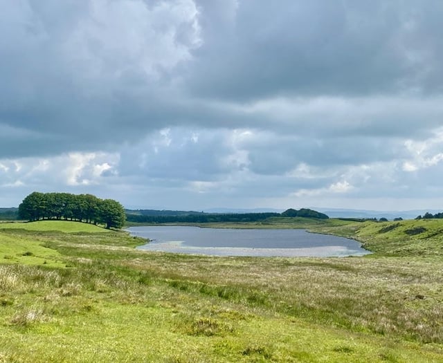 Horse and cycle routes