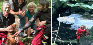 Aberdyfi team rescue Ted the dog from ravine