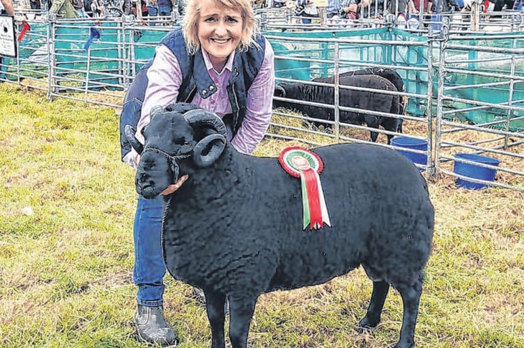 Meirioneth County Show 