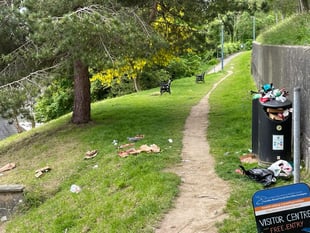 'Rubbish' Newquay bin collections with cause weekly disruption