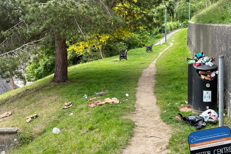 A public bin seen overflowing with waste in Newquay