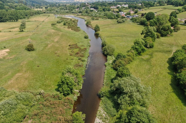 River Severn near Llandinam