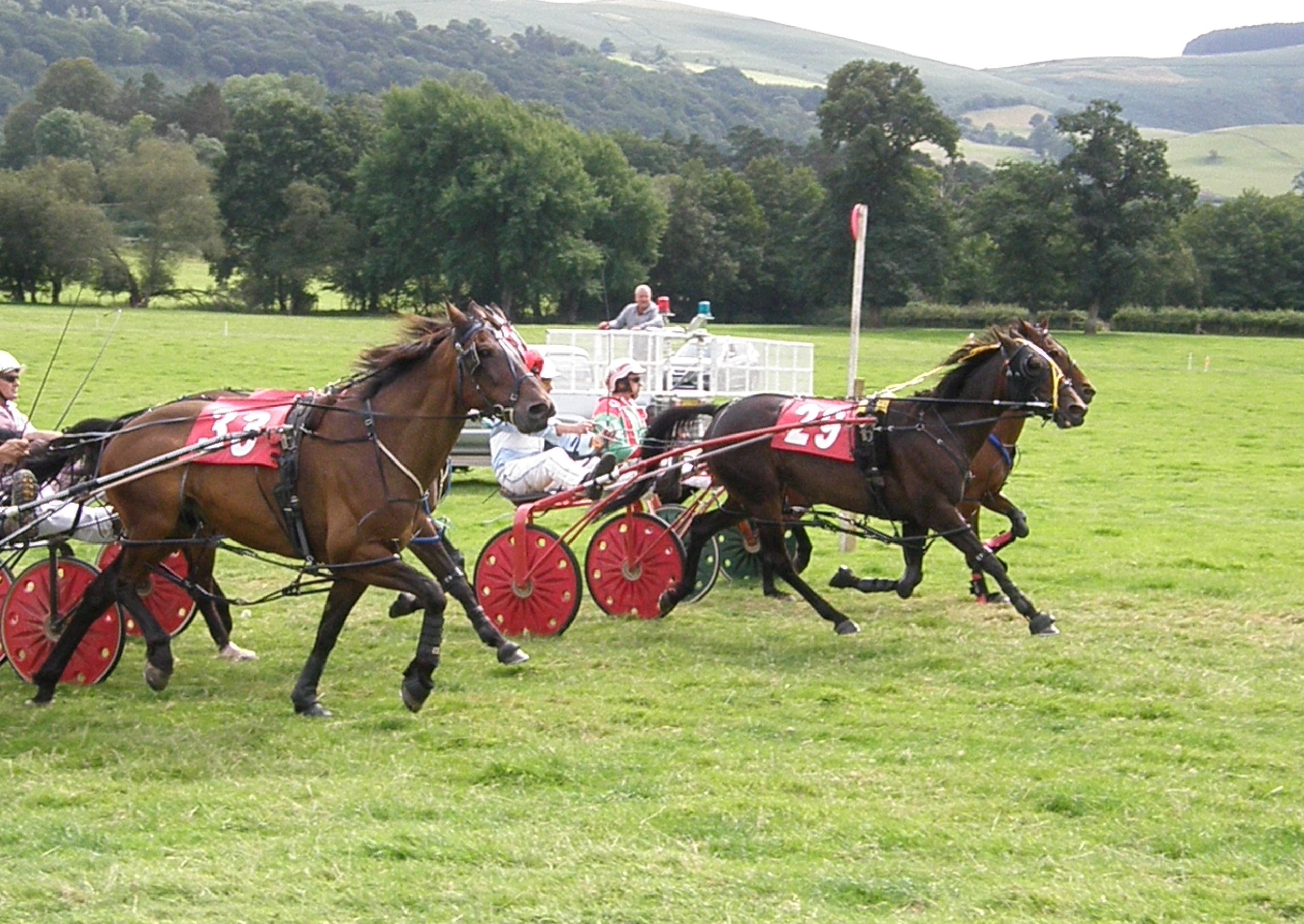 Harness racing: Llwyns Mercy takes Grade A winner at Cilmeri | cambrian ...
