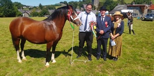 Sun shines on Llanddewi-Brefi Show